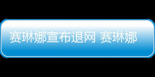 娜宣娜才男友片人网 官宣新恋布退情 赛琳赛琳是制