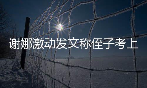 激动子考大红谢娜必须包华称侄上清发文发个