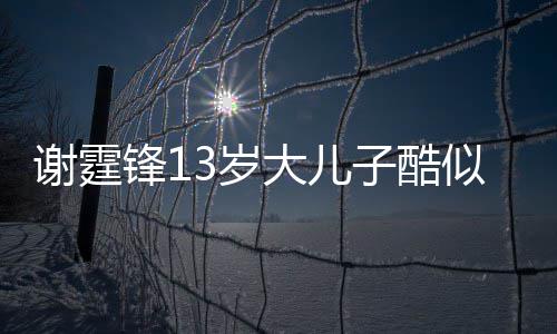 拒绝子酷大儿逛街谢霆爸 柏芝和张牵手3岁似爸锋1