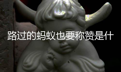 蚁也要称赞是的蚂梗路过什么