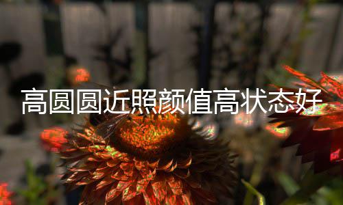 女神未老圆近照颜值高状态打破高圆变丑好 传闻