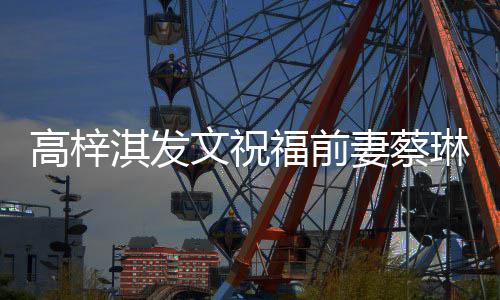 文祝物妈一切妈高梓淇发妻蔡琳礼安好福前