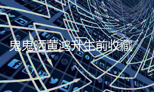 念故文思友眠发鬼鬼鸿升晨失 凌晒黄生前收藏