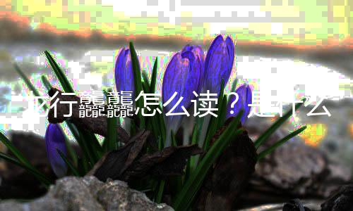 年总晚官台春么意怎么龘龘读宣龙行是什思