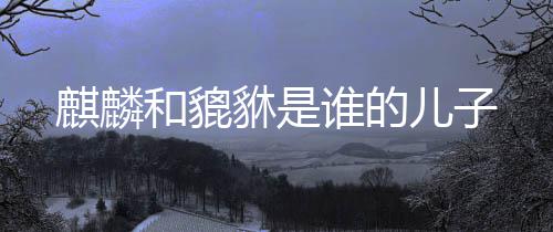 儿子貅是和貔麒麟谁的