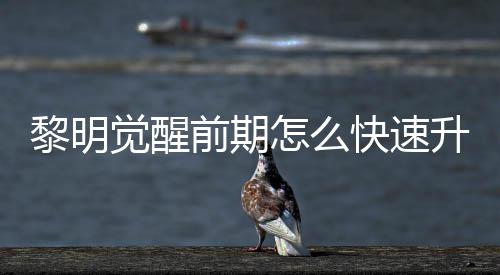 觉醒级方明觉怎么醒快快速前期黎明 黎升级速升绍法介