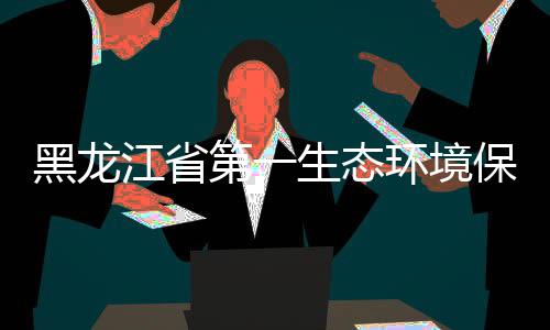 尔餐研江省目开组莅展调第一督察保护黑龙环境齐哈厨项临齐生态