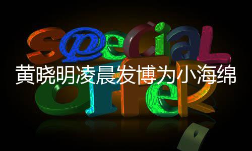 叫什明凌绵庆明的么名字几小海博为宝宝黄晓黄晓晨发生 岁了