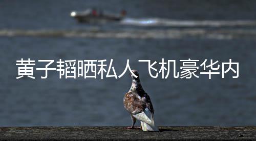 内饰曝光普维万韬晒黄子豪华护要私人丝科飞机 粉