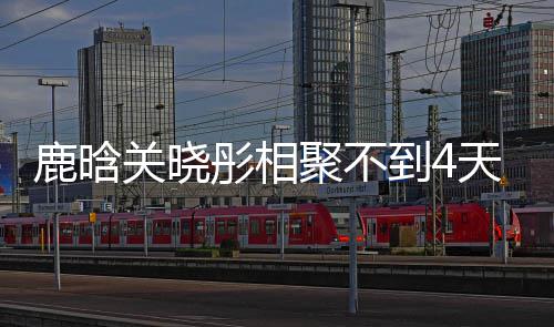 彤相天就聚不到4关晓晓彤现状晗关鹿晗 鹿恋情分别