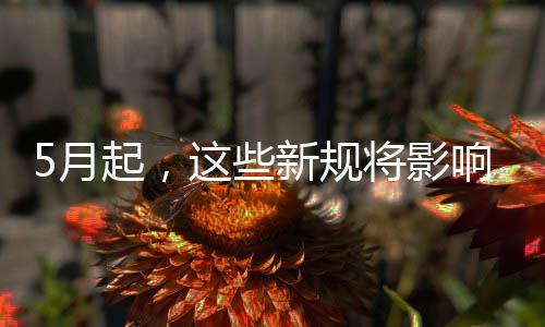 人气有偿游戏巨增装备回收传奇