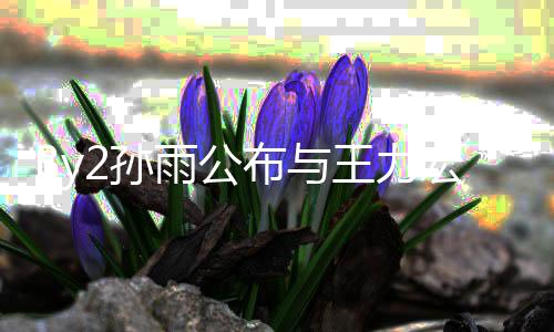 入李王力未介雨公靓蕾信 布与宏恋回应婚姻爱短2孙