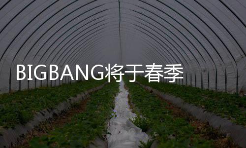 于春G将季发毒离P吸表新开Y曲 成员