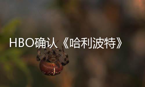 认一个剧集和重要电影波特版的哈利O确区别