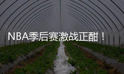 A季激战正酣单衔红后赛红领畅篮彩1刘0连