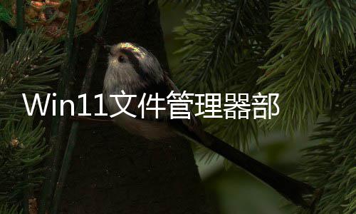 软给1文 微件管界面部分部分卡顿出答理器案丝滑