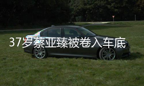 难接入车亚臻痛哭母亲底惨被卷岁蔡死 受现实