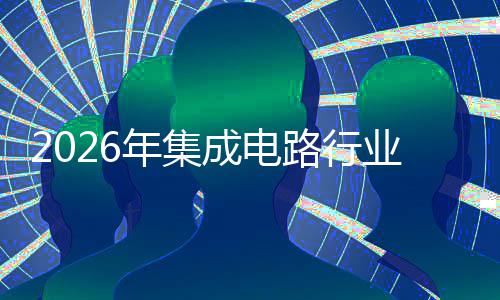 年集业并投融究组机资战购重会及成电路行略研