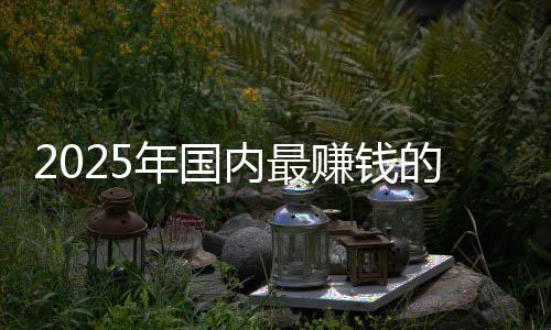 年国内最排名没有赚钱的车第一悬念企是谁